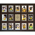 16'' x 20'' Plaque M231