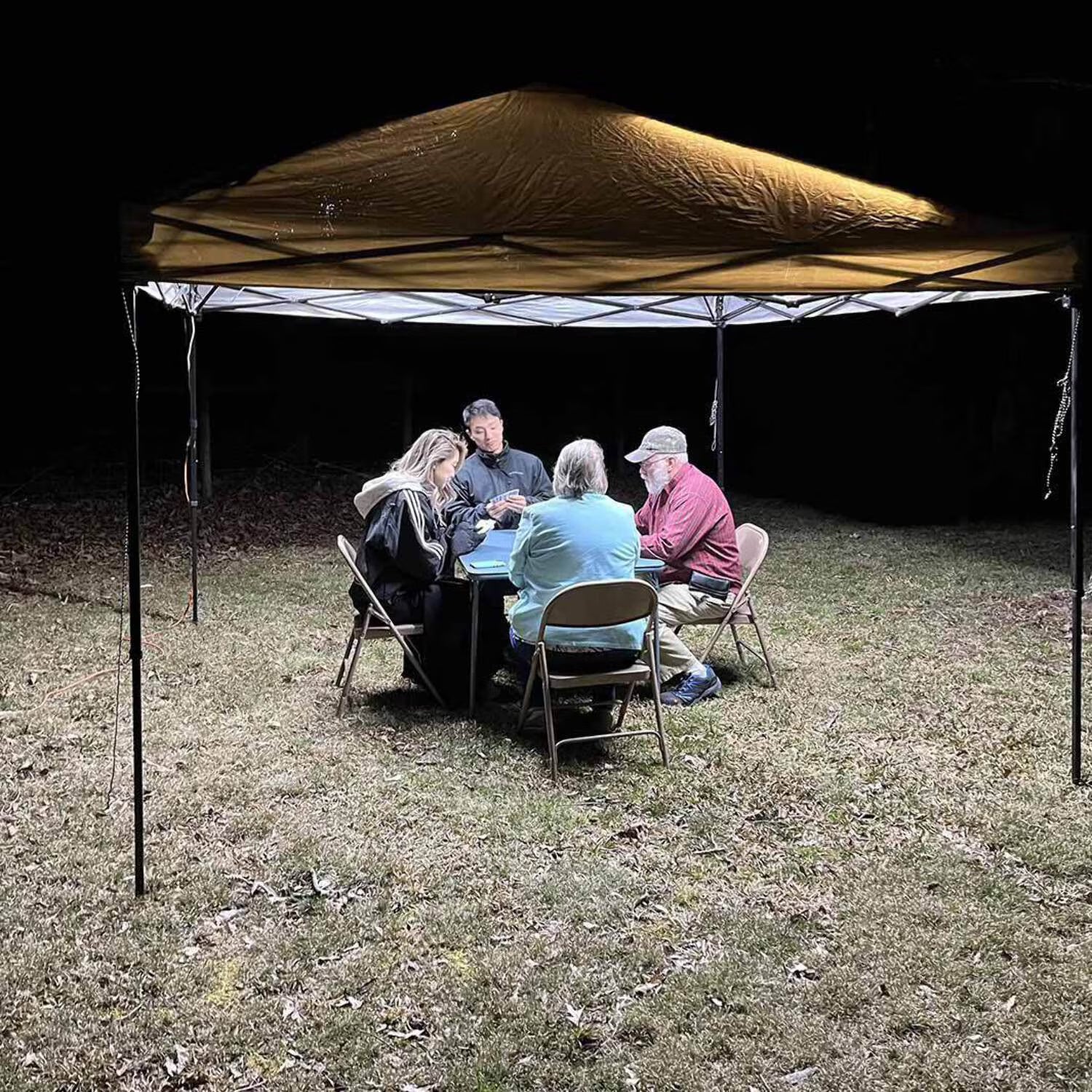 10,000 Lumens Pop-up Canopy Light Set D5924