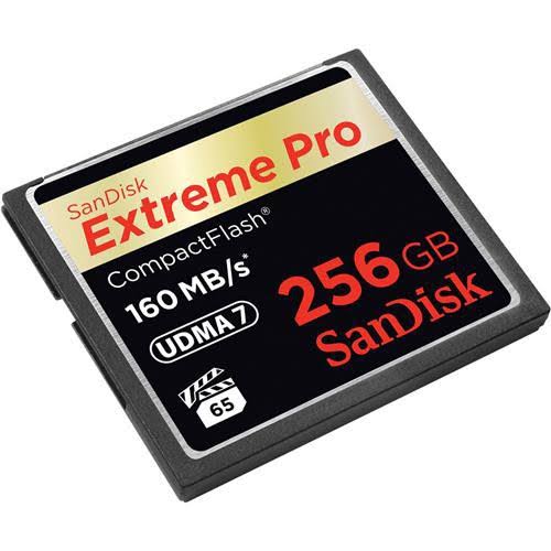 256 GB Compact Flash Memory Card Y3809