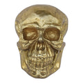 Antique Gold Skull Wall Decor A2783