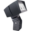 Warm LED Trunnion Flood Light Q8157