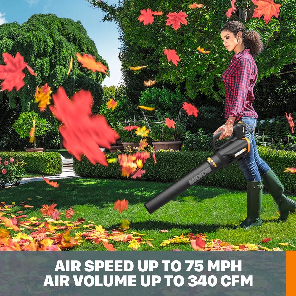 20 Volt Cordless 2 Speed Leaf Blower with 2 Batteries V17916