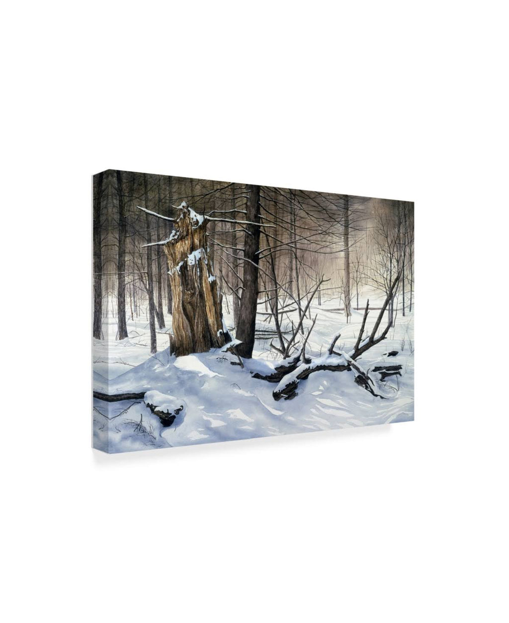 Canvas Art G804469