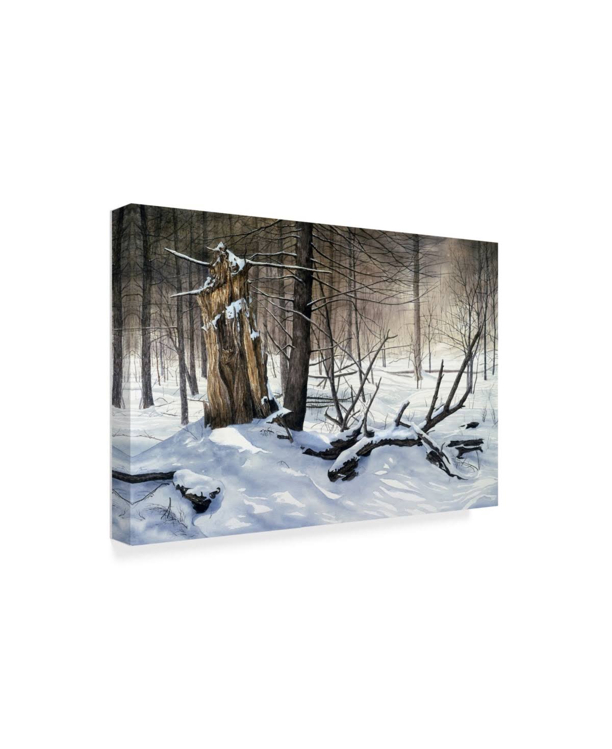 Canvas Art G804469