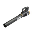 20 Volt Cordless 2 Speed Leaf Blower with 2 Batteries V17916