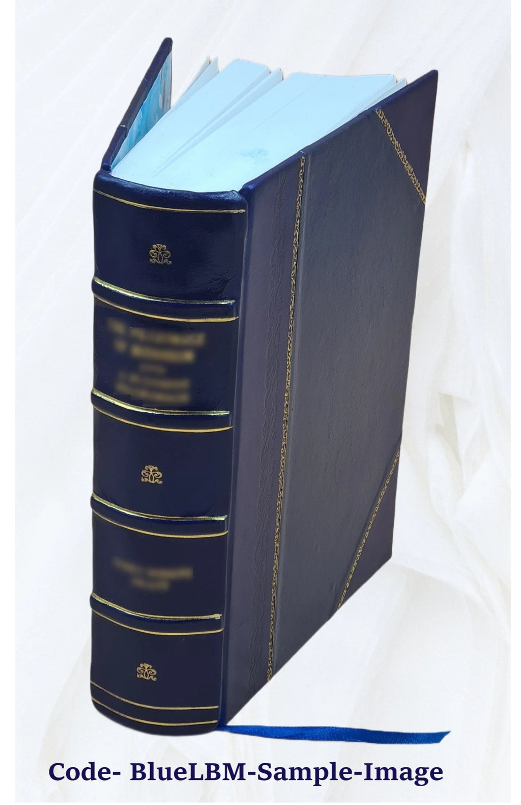 Ecclesiastical and other sketches of Southington, Conn. 1875 Leather Bound I37093