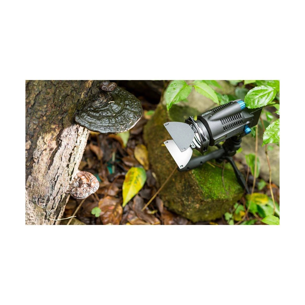 Focusable LED Fresnel Q848194