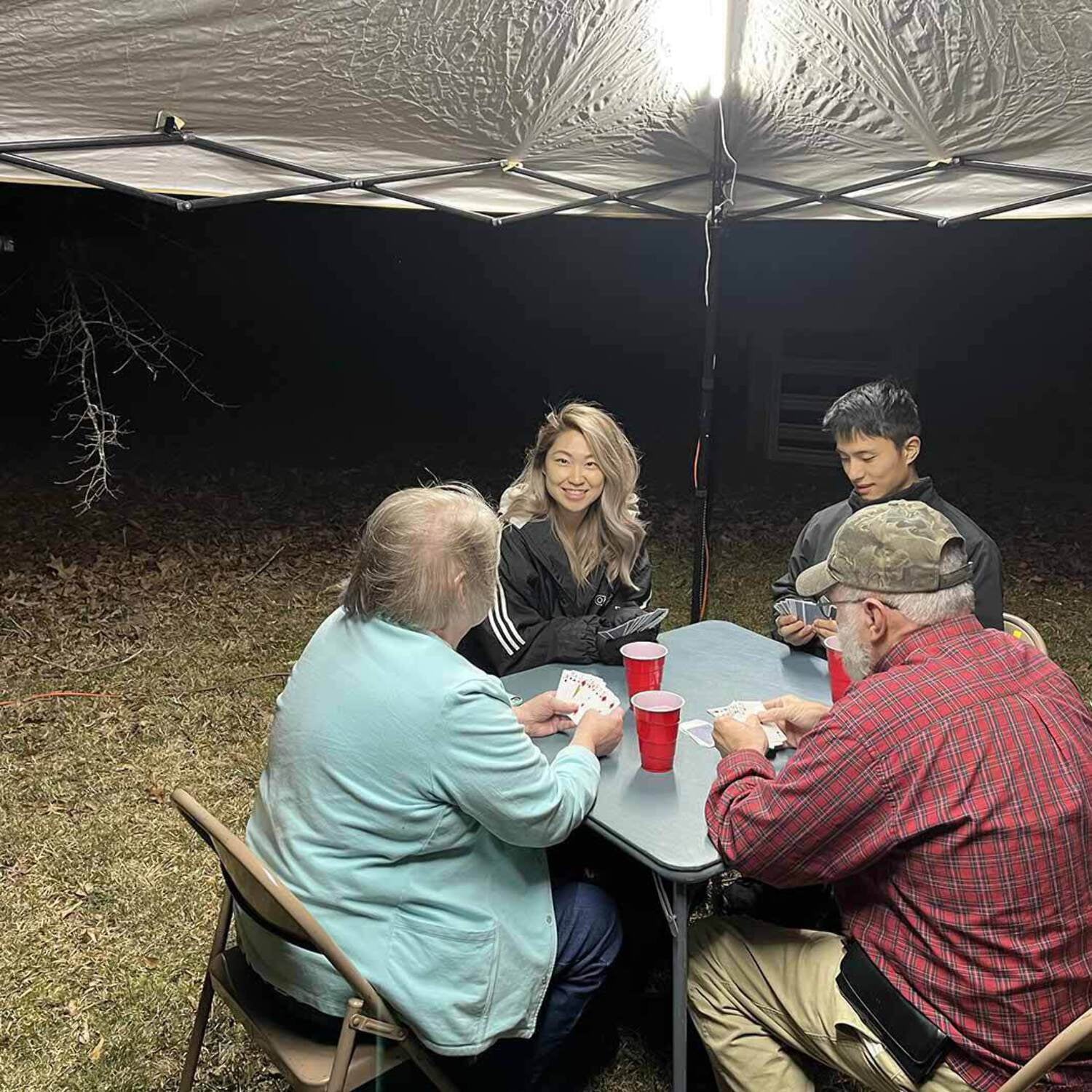 10,000 Lumens Pop-up Canopy Light Set D5924