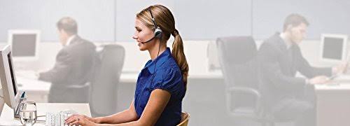 Headset D3347