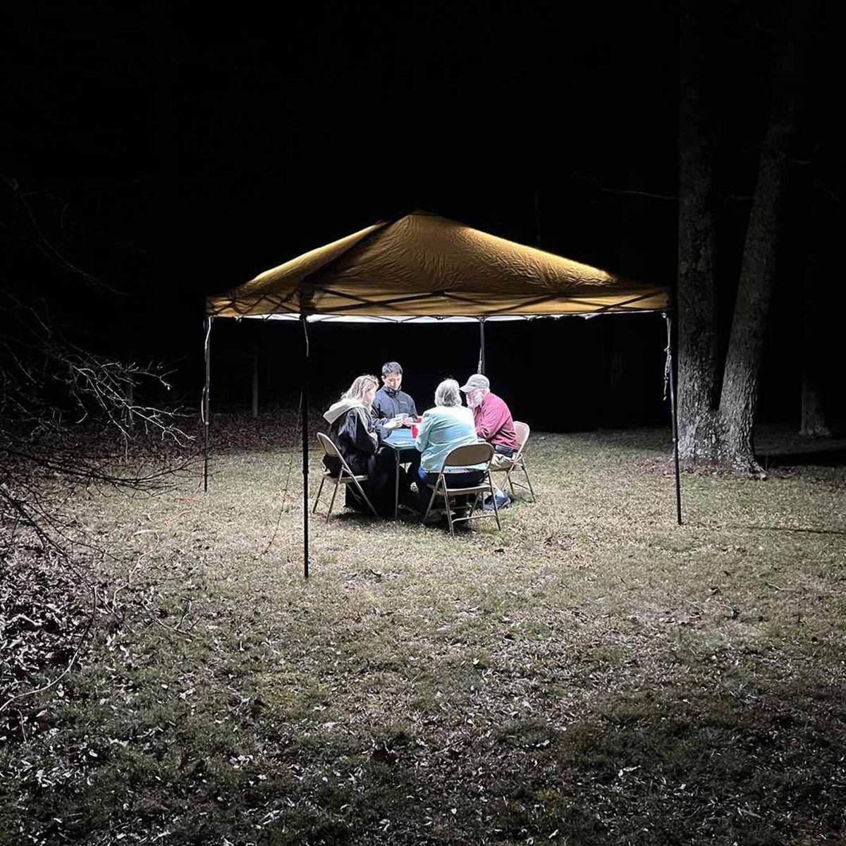 10,000 Lumens Pop-up Canopy Light Set D5924