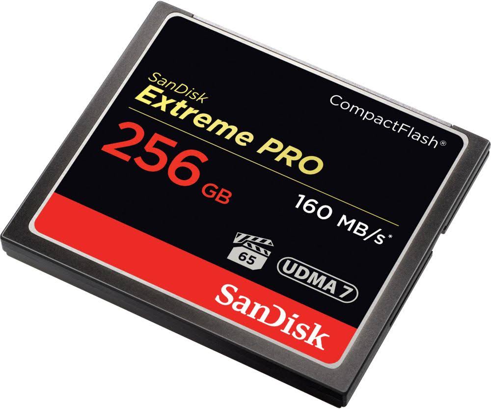 256 GB Compact Flash Memory Card Y3809