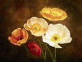 Poppy Perfection II Canvas M581