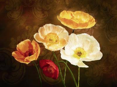 Poppy Perfection II Canvas M581