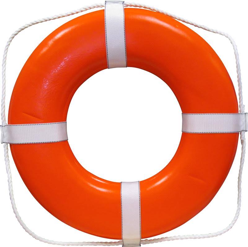 Orange Ring Buoy Q98816