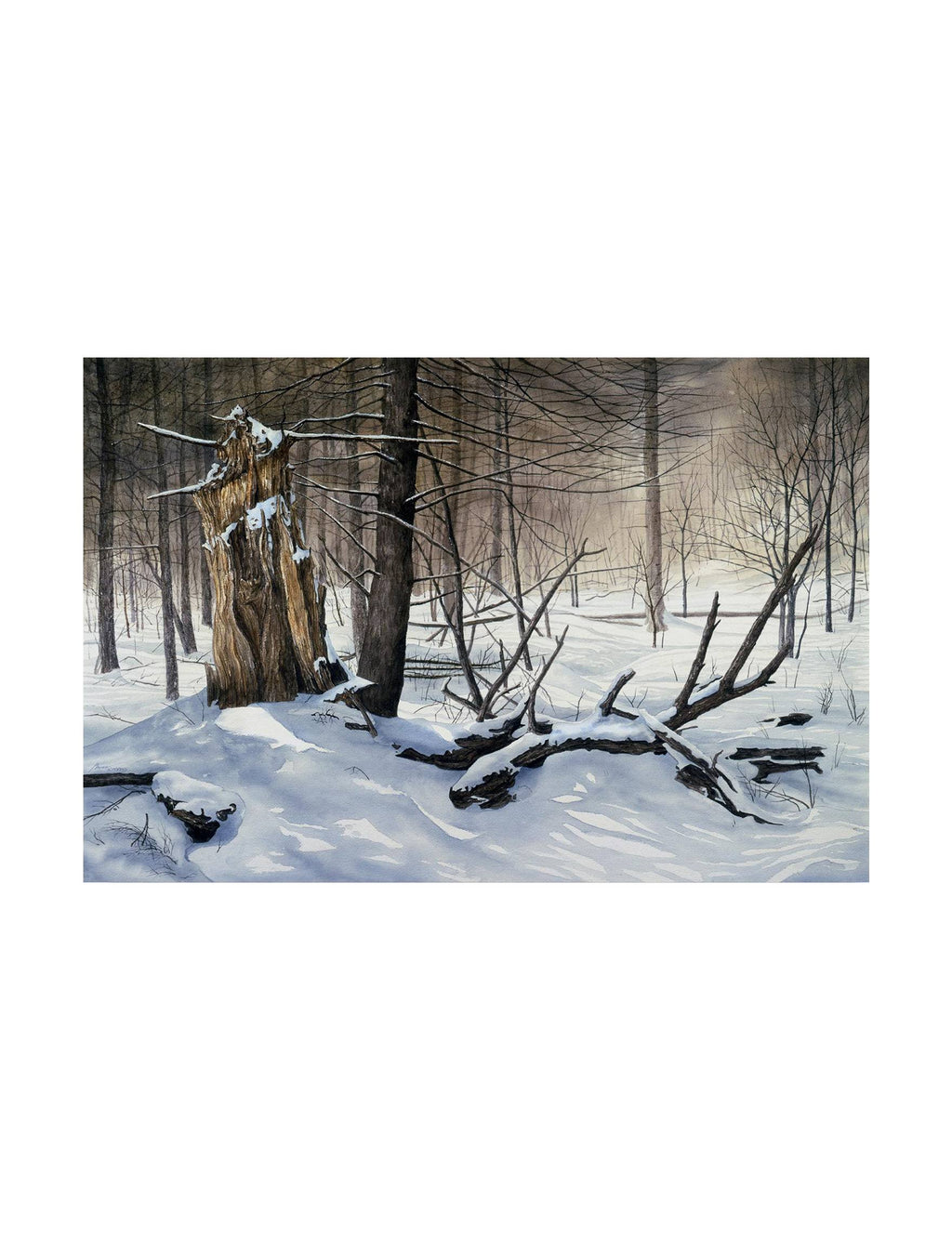 Canvas Art G804469