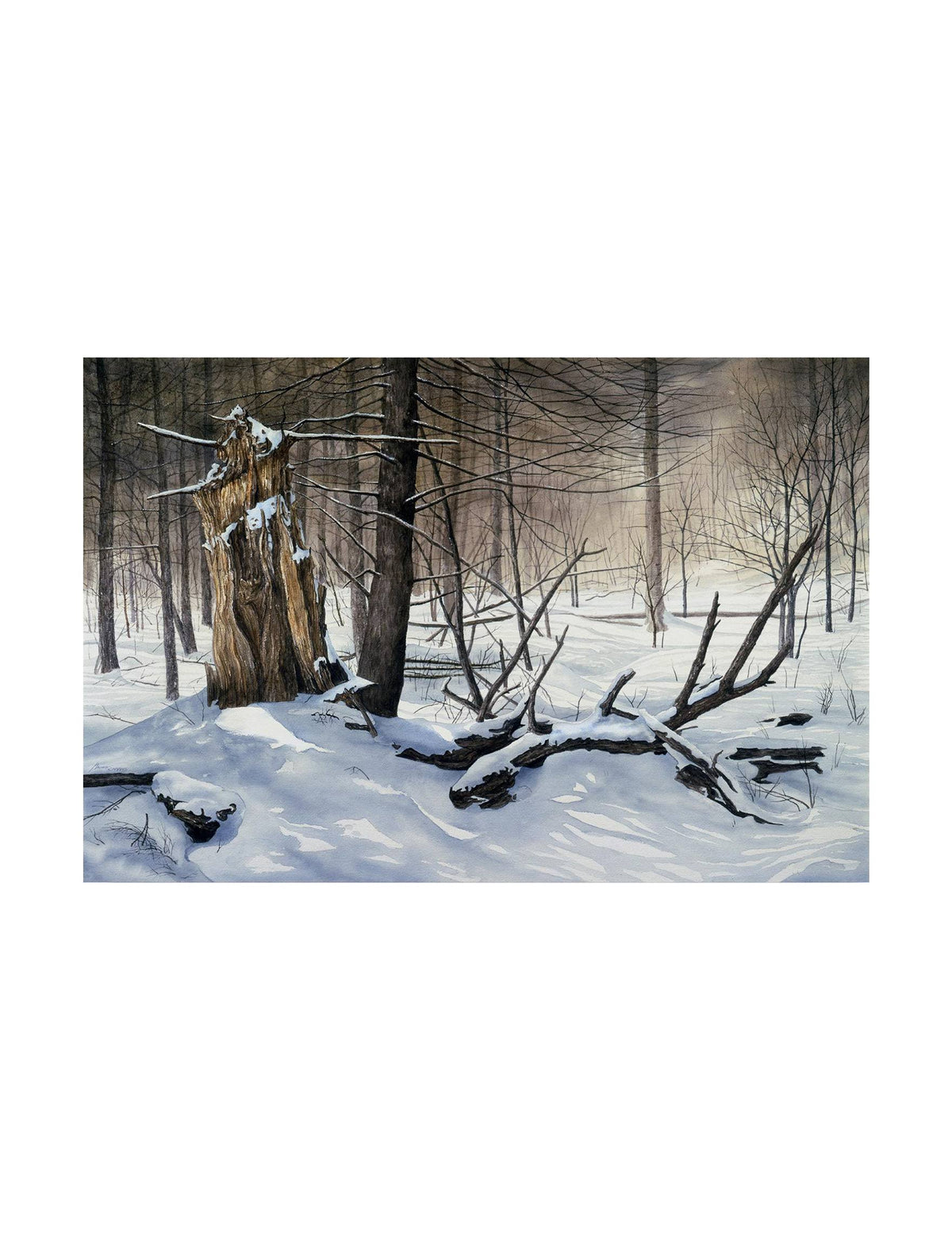 Canvas Art G804469