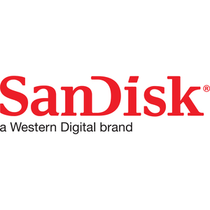 256 GB Compact Flash Memory Card Y3809