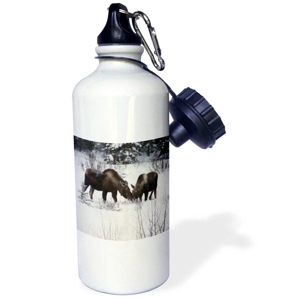 21 oz Sports Water Bottle G49229