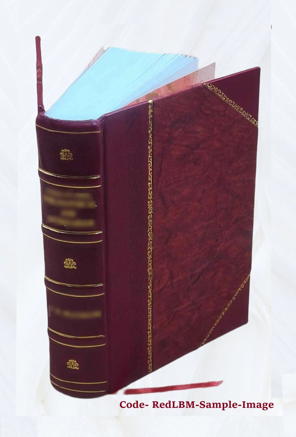 Ecclesiastical and other sketches of Southington, Conn. 1875 Leather Bound I37093