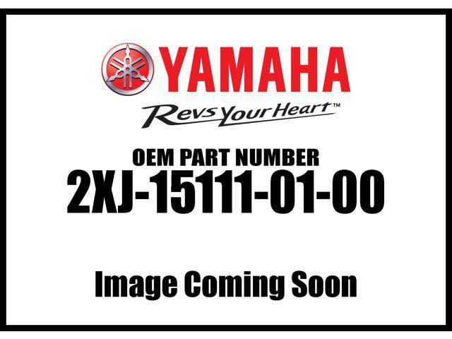 Crankcase P948989