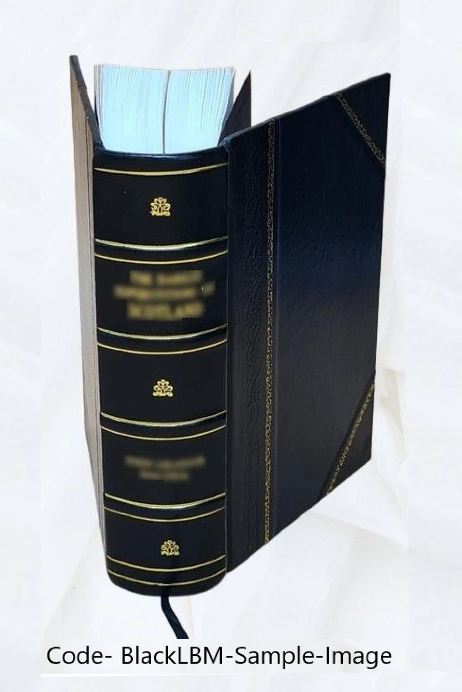 Auction developments by Milton C. Work. 1913 Leather Bound I6384