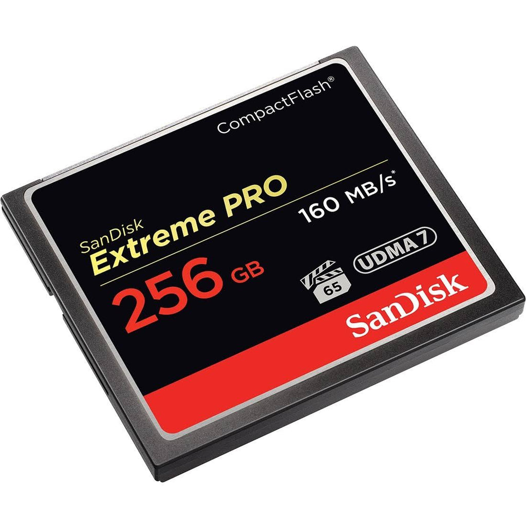 256 GB Compact Flash Memory Card Y3809