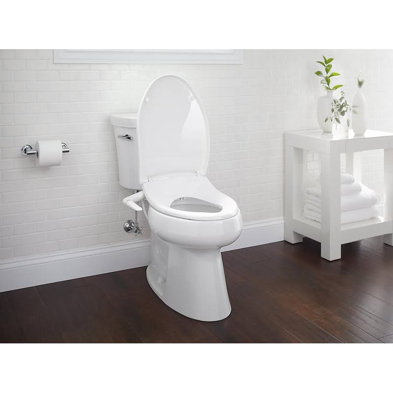 Polished Nickel Toilet Paper Holder B140676