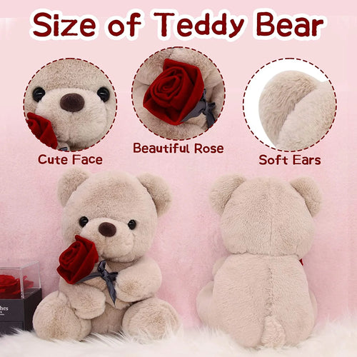 10 Inch Teddy Bear Plush Stuffed Animal with Rose Y33992