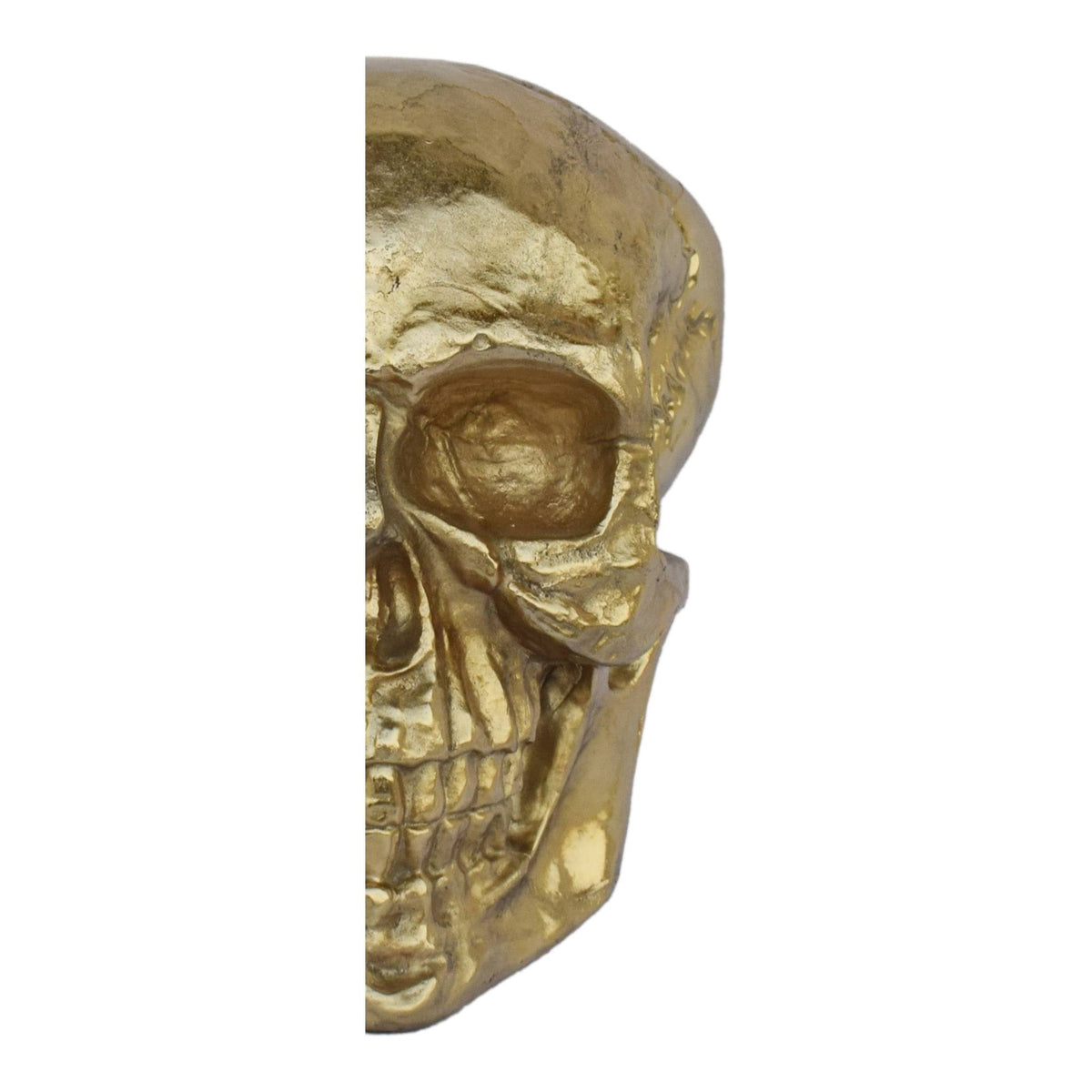 Antique Gold Skull Wall Decor A2783