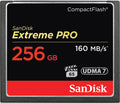 256 GB Compact Flash Memory Card Y3809