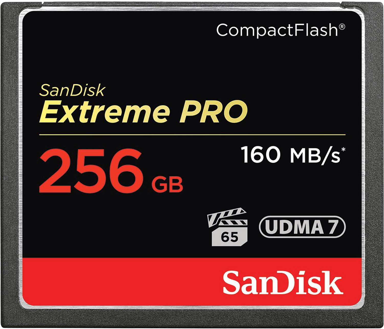 256 GB Compact Flash Memory Card Y3809