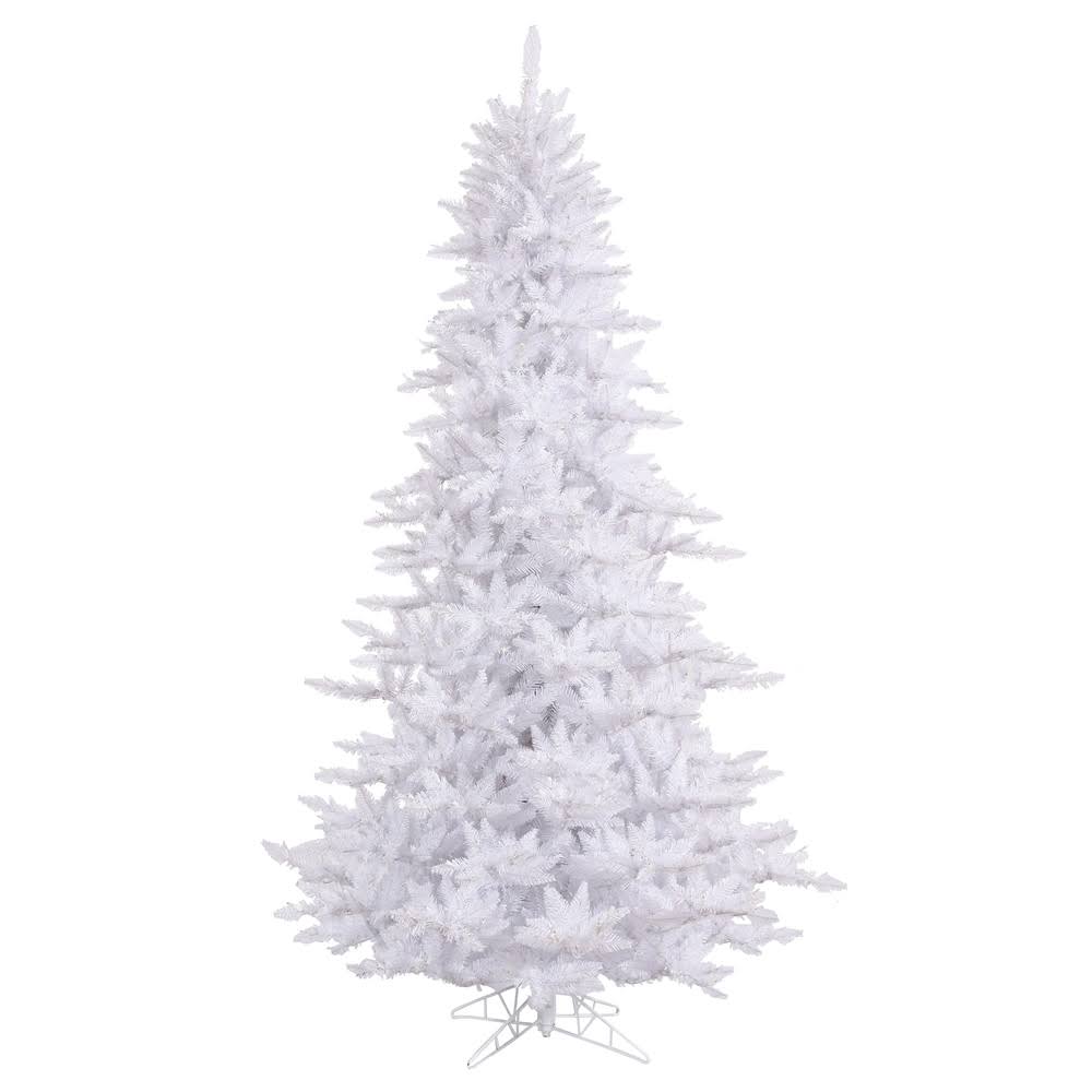 White Fir Tree U40315