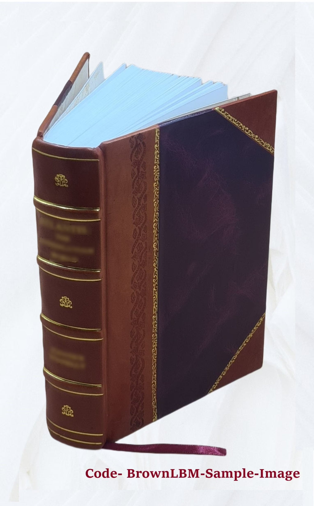 Auction developments by Milton C. Work. 1913 Leather Bound I6384