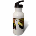 21 oz Sports Water Bottle B442