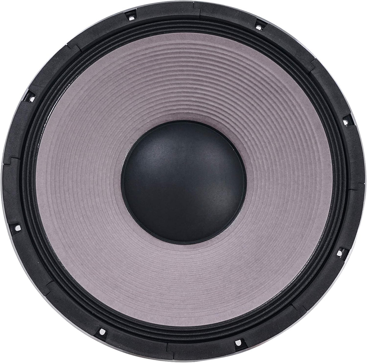 12" 500W Cast Aluminum Frame Woofer L6559
