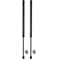 Pair Tailgate Hatch Lift Support for Honda Element D352243