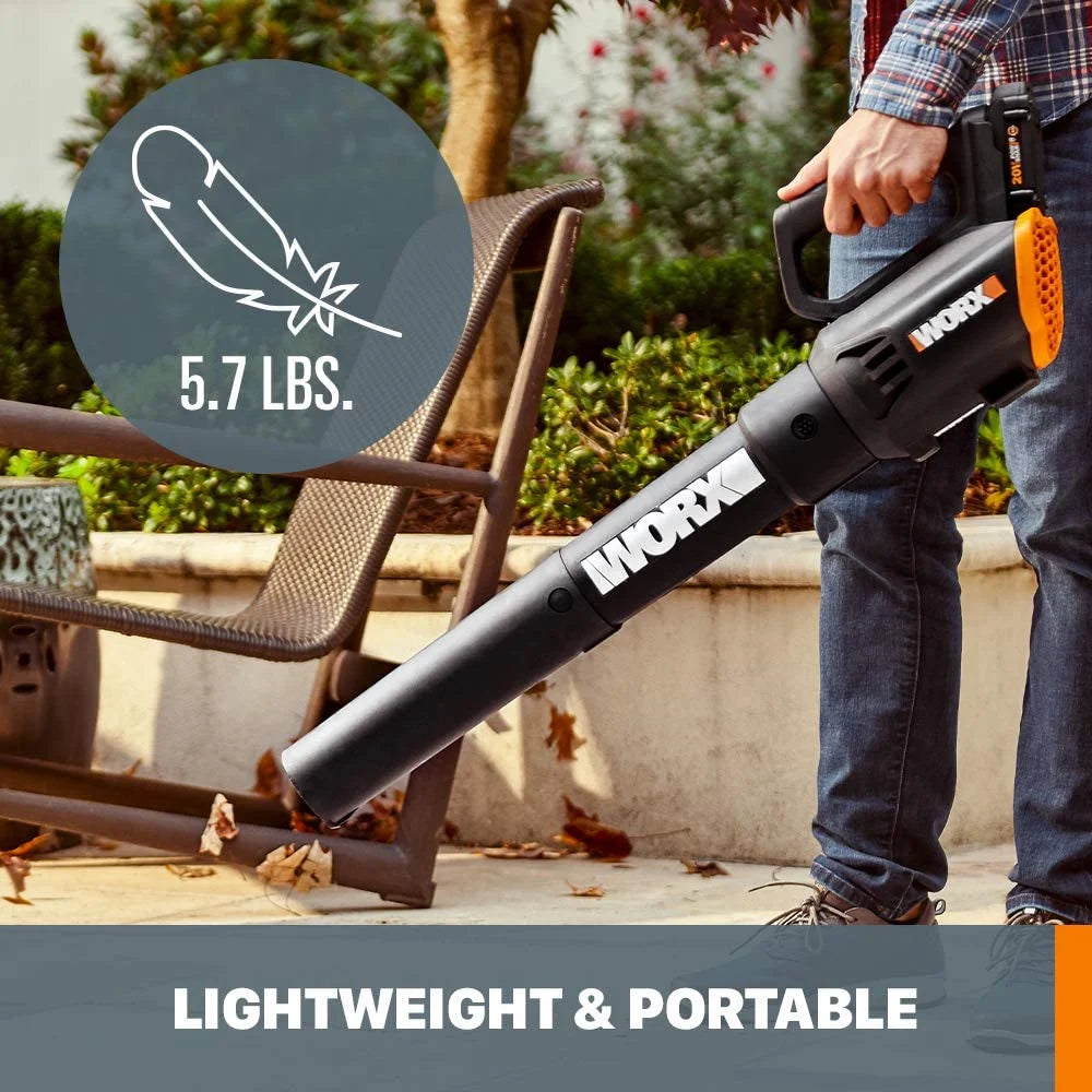 20 Volt Cordless 2 Speed Leaf Blower with 2 Batteries V17916