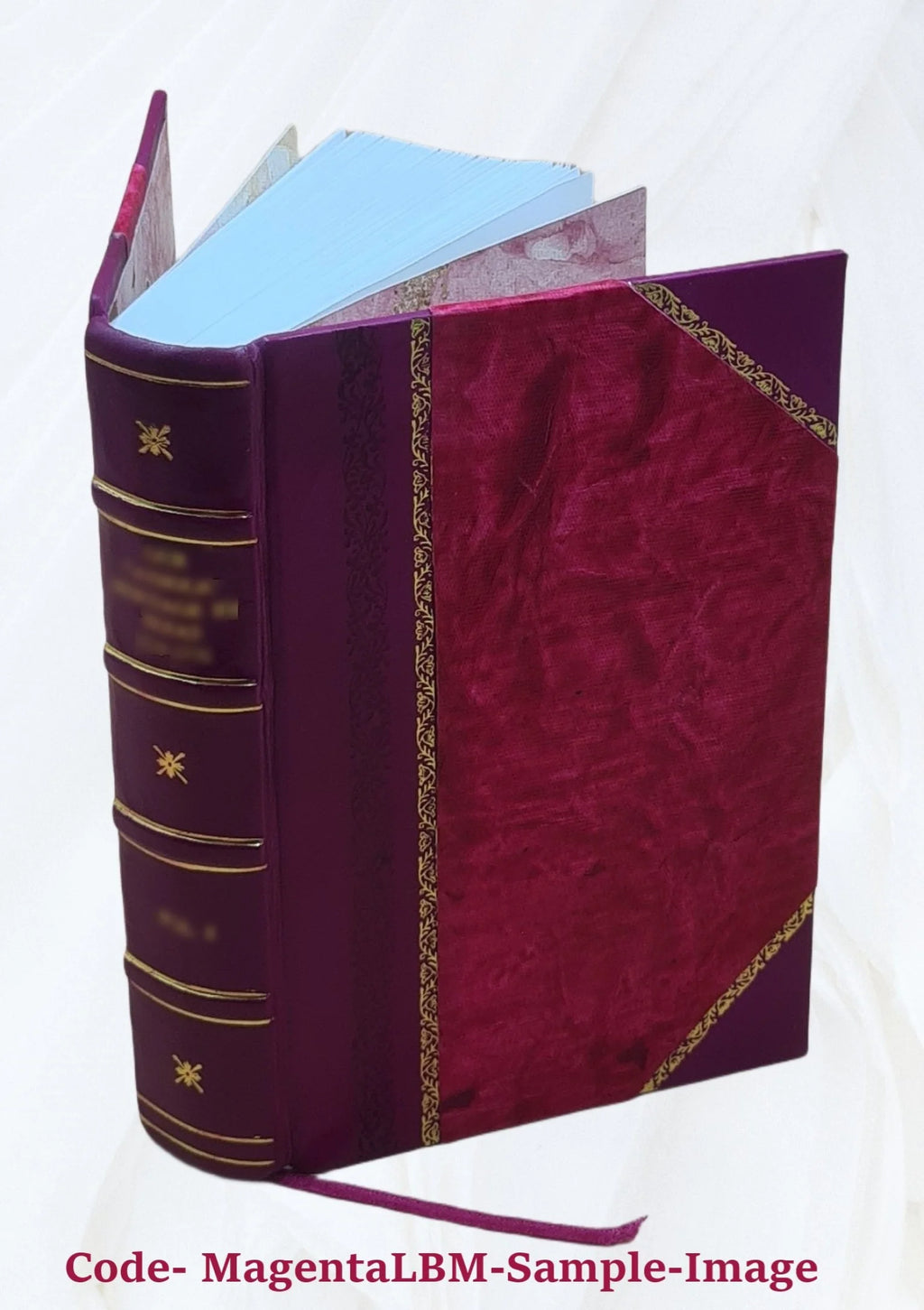 Ecclesiastical and other sketches of Southington, Conn. 1875 Leather Bound I37093