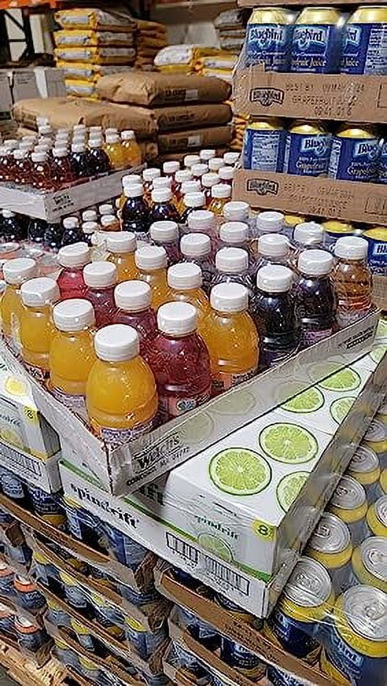 10 Ounce Single Serving Bottles Fruit Juice Variety Pack B4662