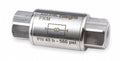 3/8 in 316 Stainless Steel Inline Check Valve, FNPT x FNPT, Pk 2 N782260
