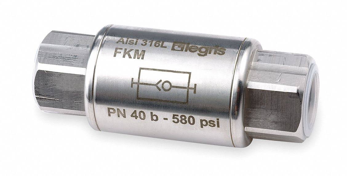 3/8 in 316 Stainless Steel Inline Check Valve, FNPT x FNPT, Pk 2 N782260